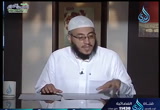 (8) ثلمات في الجدار (إضاءات 2)