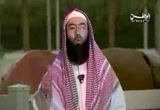 الخيـــل (مشاهد)