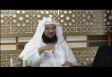 العقيدة الطحاوية (3) البناء العلمي