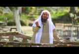 إلى حزين (قبيل الغروب 3)