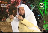 التثبت _ هاجس