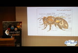 كلمة ا/ وفاء محمود عبد العظيم بالمؤتمر السنوى العاشر للإعجاز العلمى بجامعة المنصورة 2018