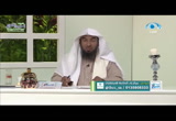 التاءات الزوجية ج2 ( المستشار الأسرى )
