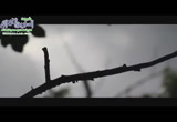 مقطع من اسم الله الودود 