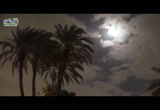 وهزى إليك بجزع النخلة ( الحياة الدنيا )