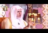 ح (2) إبراهيم -عليه السلام- (الصفوة) 