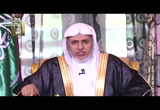 ح (4) عيسى -عليه السلام- (الصفوة) 