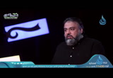   مشاهدات  -  أنسي  