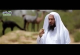  الثعبان22/5/2018م (هذا خلق الله )