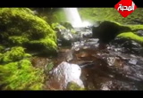  الآخرة خير وأبقى - رحلة إلى الجنة