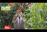 الإعتراف بالذنوب (28/5/2018) مسحراتى القلوب