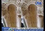 دولة المناذرة 1/6/2018 (الفتوحات الاسلامية)