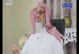 معركة عين التمر  ( 7/6/2018) الفتوحات الإسلامية