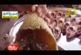 عسلكم الله ( 13/6/2018 ) مسحراتى القلوب