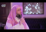 وَلَوْلَا إِذْ سَمِعْتُمُوهُ قُلْتُم مَّا يَكُونُ لَنَا أَن نَّتَكَلَّمَ بِهَٰذَا سُبْحَانَكَ هَٰذَا بُهْتَانٌ عَظِيمٌ(11/6/2018)قصة وآية 2