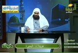 حياتنا ( 8/8/2018 )