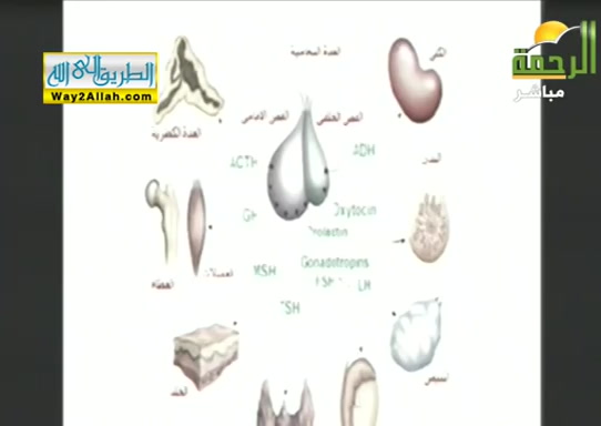 موجة البرد اسرار واعجاز ( 18/1/2018 ) البرهان فى اعجاز القران