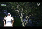 التسامح النبوى (مع المخطئين)