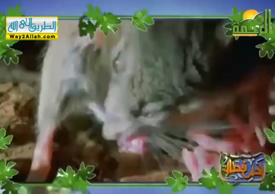 الرحمن الرحيم ( 10/5/2019 ) احلى فطار