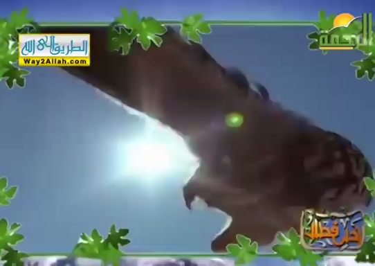 كيف تكون الارجل سبيل للنجاة فى الحيوانات ( 13/5/2019 ) احلى فطار