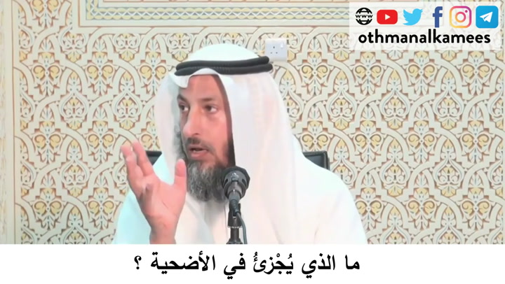 117- ما الذي يجزئ في الأضحية؟- شرح أحكام الحج كتاب دليل الطالب