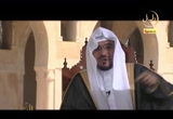 مادة ( طَوَفَ ) 25-8-2009 ( النيرات )