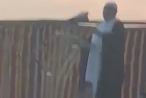 عظمة التوزيع الكوني