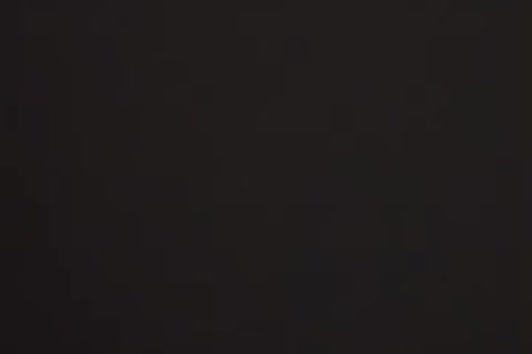 أحكام الأضحية والعيد 