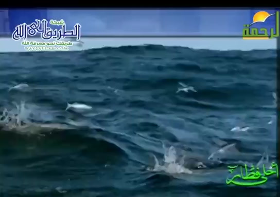 عجائب الرزق فى البحار ( 25/4/2020 ) احلى فطار