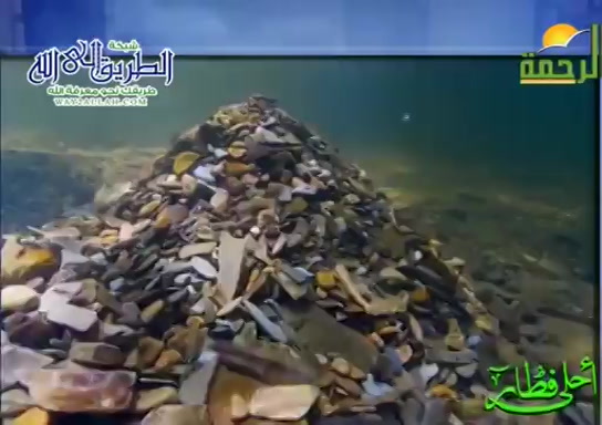 السمك البلاء ( 12/5/2020 ) احلى فطار