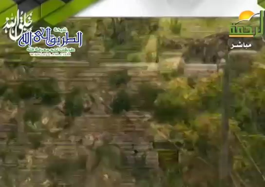 الهجرة  ( 24/8/2020 ) هذا خلق الله
