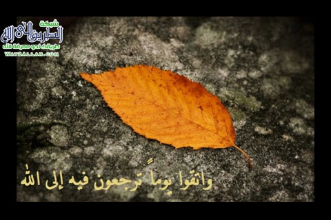 من صور الموالاة المحرمة