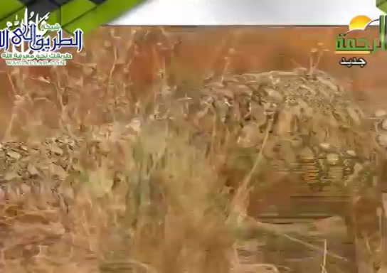 الكفاح حتي النجاح ( 24/11/2020 ) هذا خلق الله