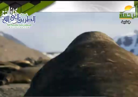 البيئه تؤثر فى حياة من يعيش فيها ( 18/1/2021 ) هذا خلق الله