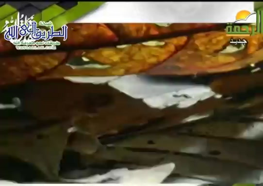اعاجيب الخلق ( 22/2/2021 ) هذا خلق الله