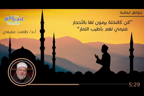 كن كالنخلة يرمون لها بالأحجار فترمي لهم بأطيب الثمار