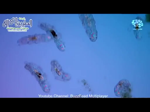 تفكر - ويخلق ما لا تعلمون