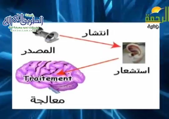 الاذن اسرار واعجاز 1 ( 7/5/2021 ) اسرار الارقام