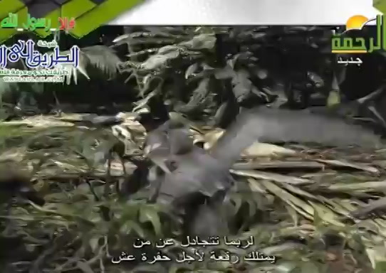 طلب الرزق فى الماء ( 15/11/2021 ) هذا خلق الله