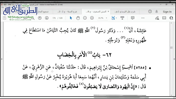 شرح النسائي كتاب الزينة 12 