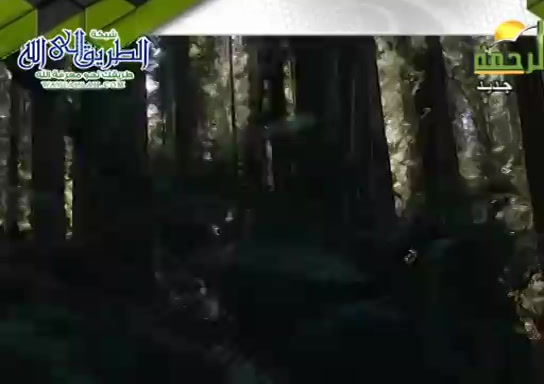 جزوع الشجر ( 19/12/2021 ) هذا خلق الله