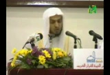 أضواء من سورة القمر