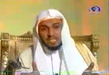 أولادنا والتربية 
