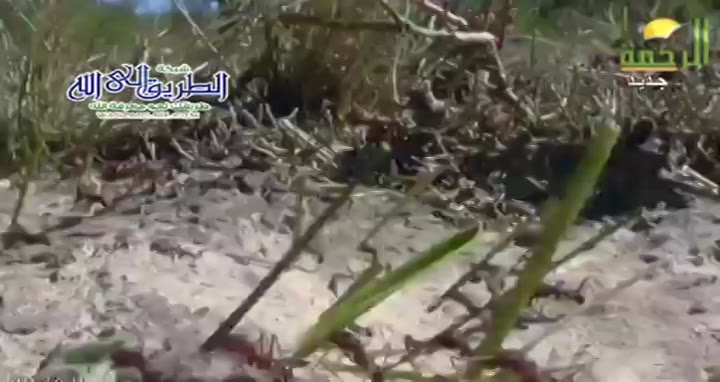 الهبات 1 ( 11/3/2025 ) رحلة الى الله