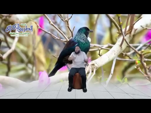 الحلقه السادسة منهجية وفن التفكر في خلق الله   - أرني أنظر إليك  