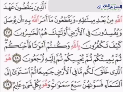 أولئك هم الخاسرون التفسير المختصر لسورة البقرة الآيات من 27 إلى 29 