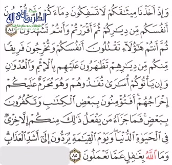  ورد القرآن اليومي - دكتور محمد علي يوسف -سورة البقرة 22 الآيات 84 و 85 التلاوة الشيخ محمود مجاهد 