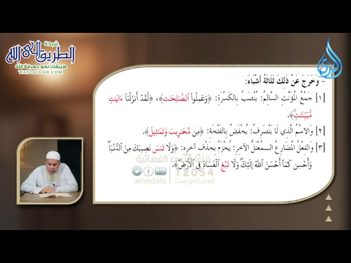 فَصْلٌ الْمُعْرَبَاتُ _ شواهد الحق _ الدكتور إبراهيم البليزي _ ح4 