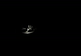 وصـيـة سوزان تميم  (29/5/2009)