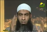 حول أحداث مصر 2011 (20/2/2011)